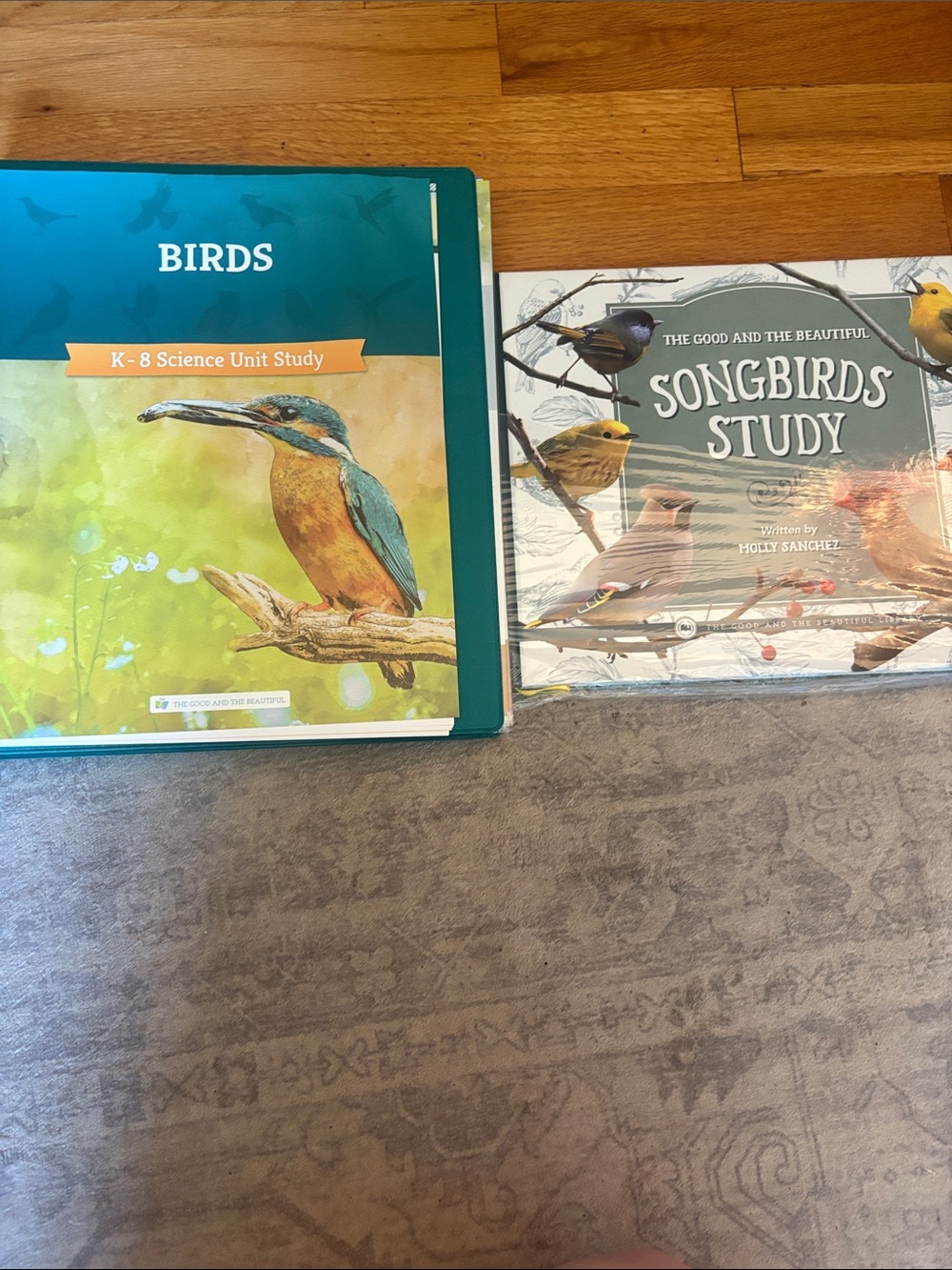 The Good and the Beautiful Bird Study
